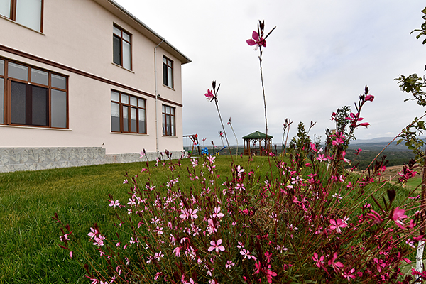 Alemdar Tarım