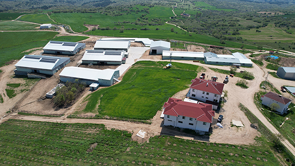 Alemdar Tarım